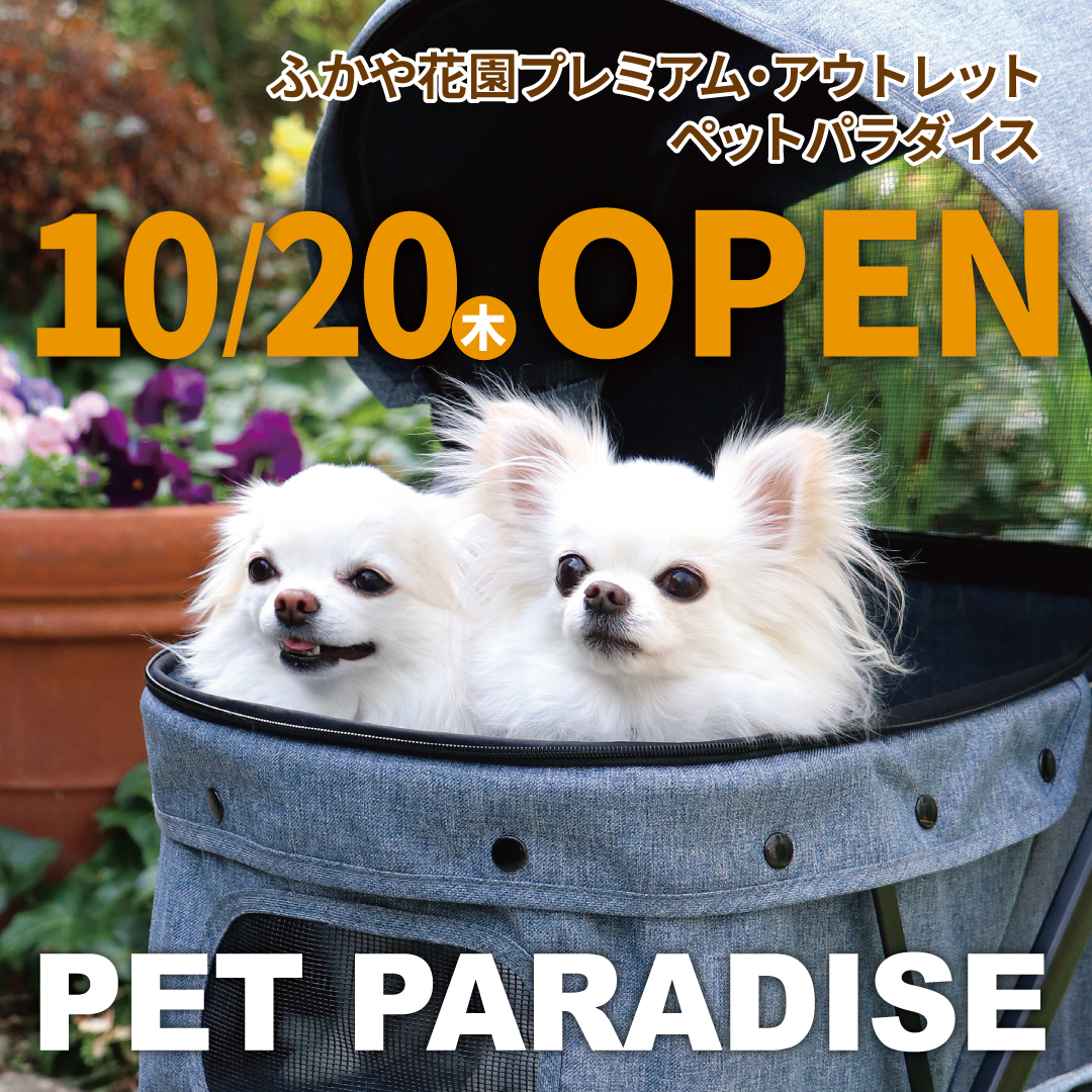 ペットファッションとグッズの専門店「PET PARADISE」と「上島珈琲店」のコラボレーションストアがオープン クリエイティブヨーコ