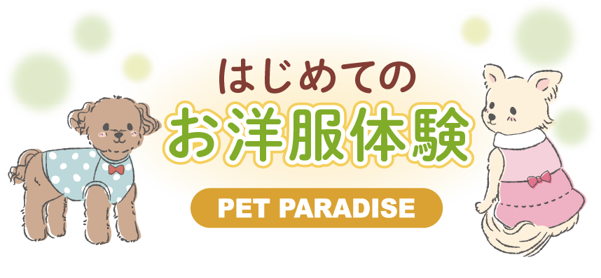 はじめてのお洋服体験