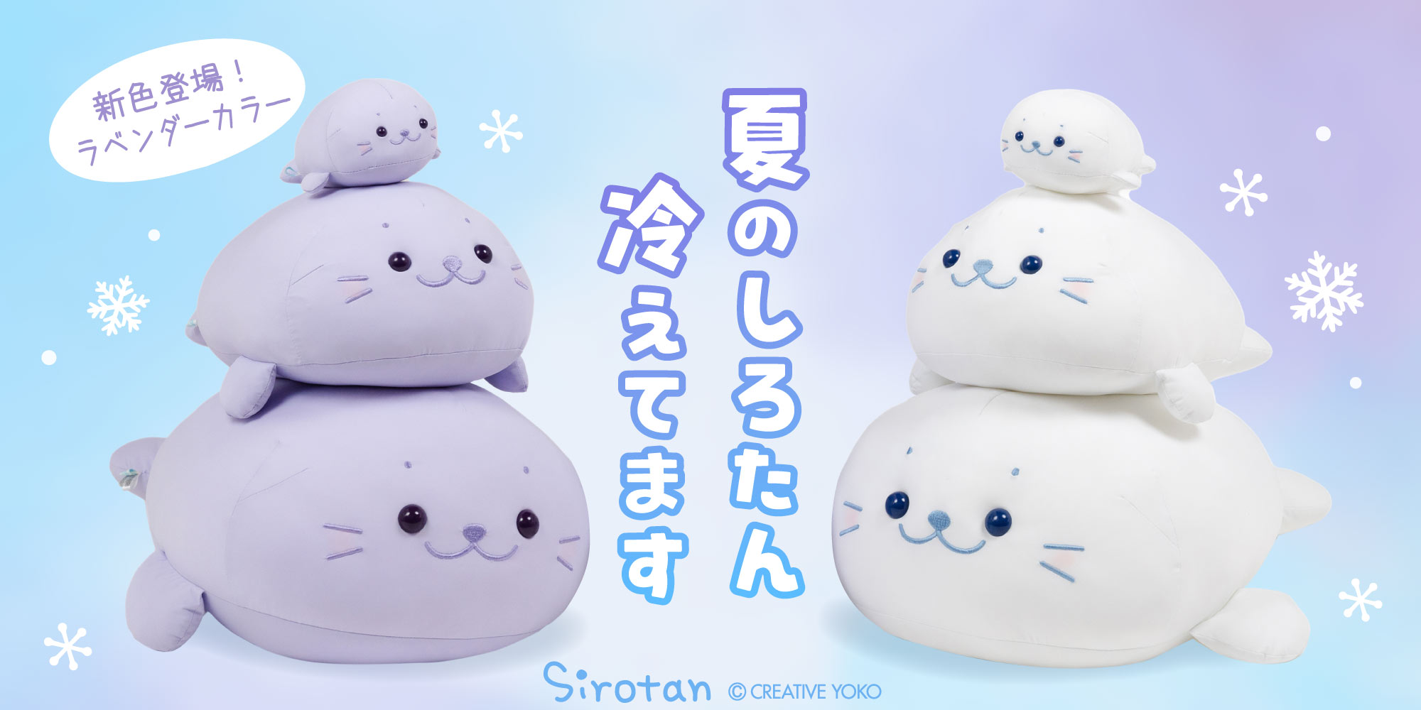 しろたん　クール