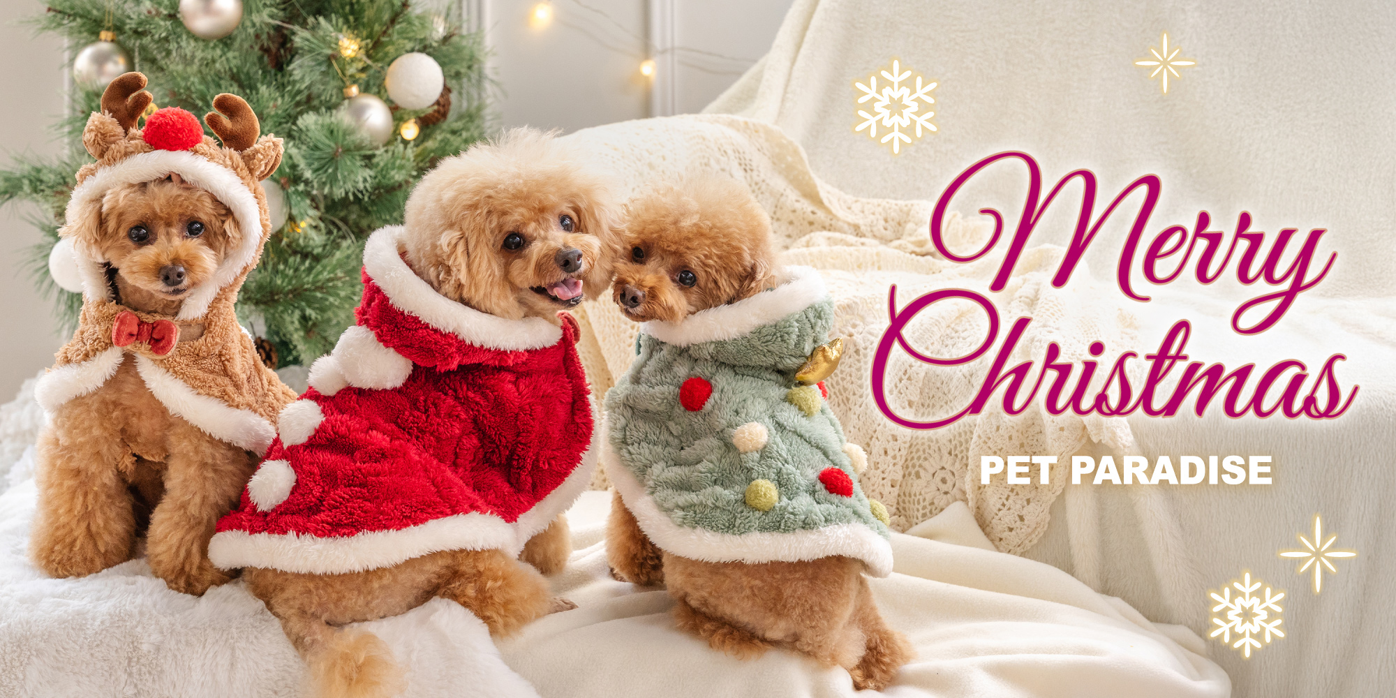 ペットパラダイス　2026冬　クリスマス