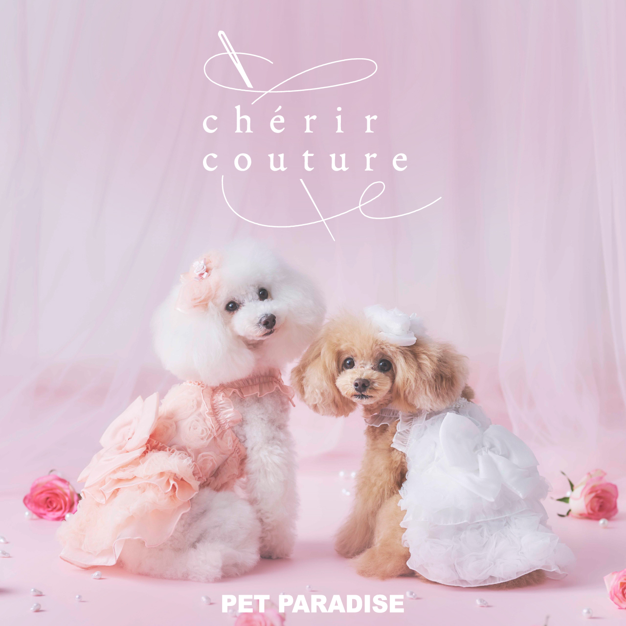 ジュエルペット　ドレッサー ニュースリリース】愛犬との春を華やかに彩る新ラインアップ 「ペット