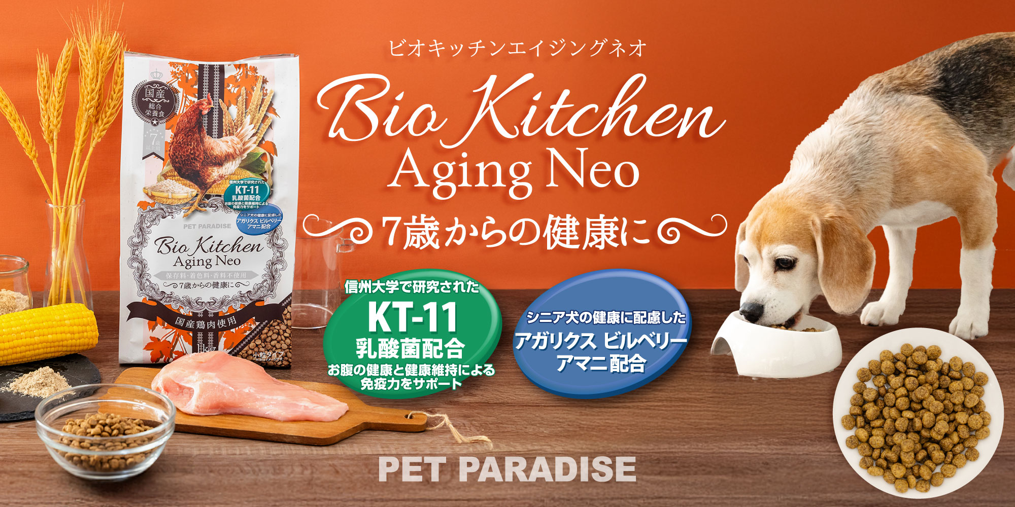ペットパラダイス　エイジングネオ