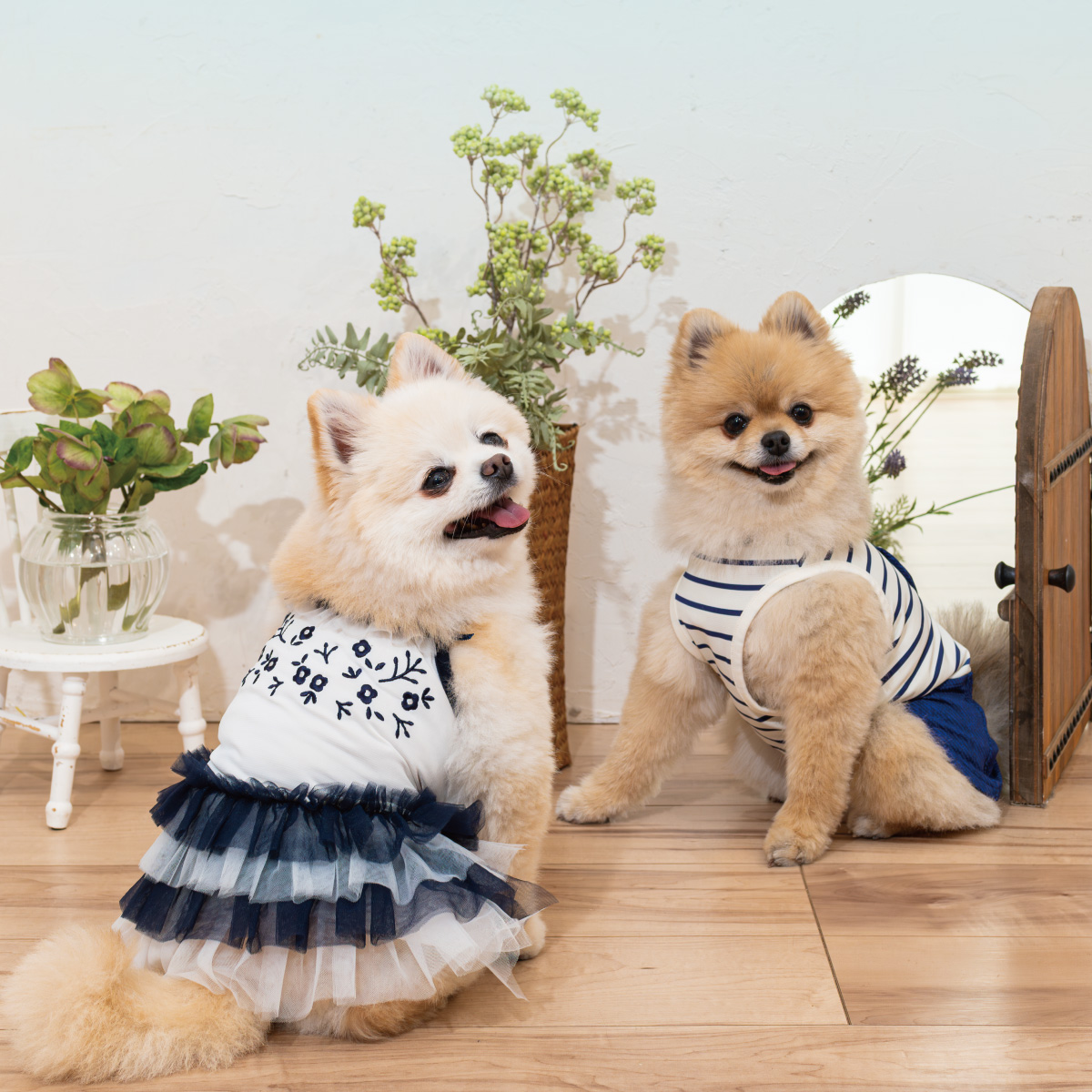 ペット最新情報のイメージ