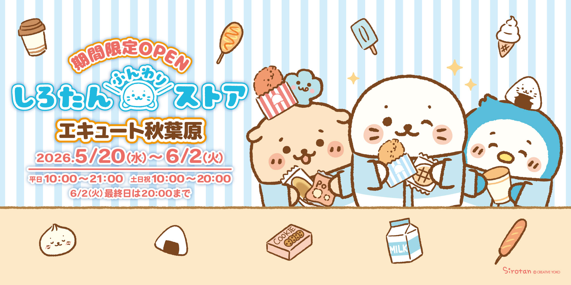 しろたん　ポップアップ　秋葉原