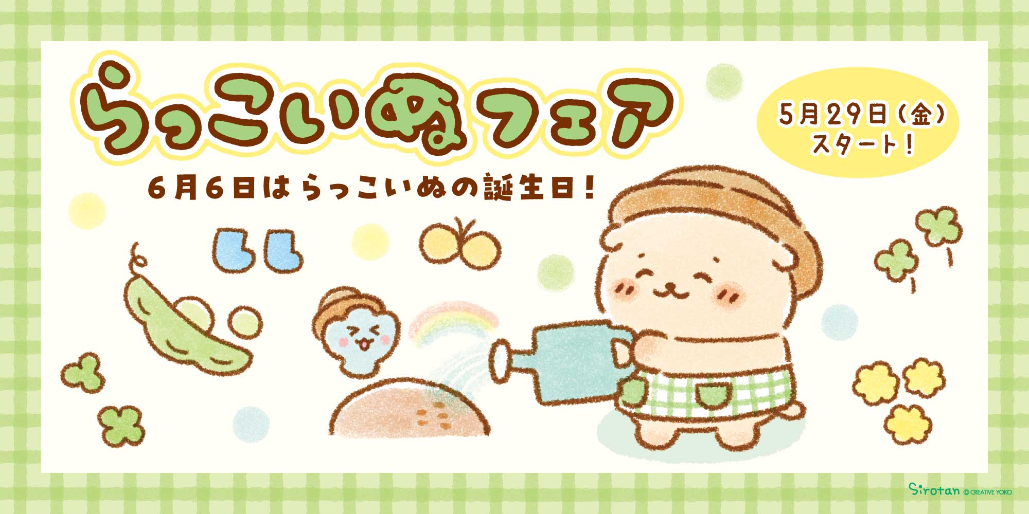 しろたん　らっこいぬ