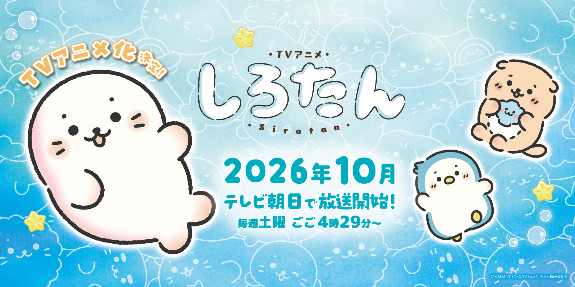 しろたん　アニメ　10月スタート