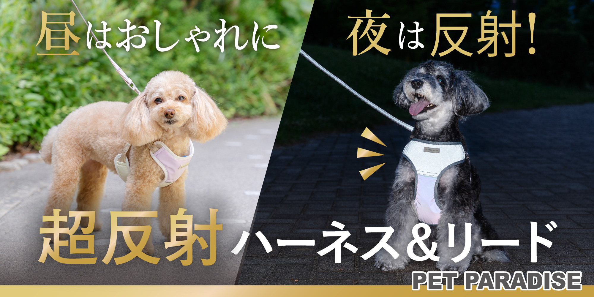 ペットパラダイス　超反射
