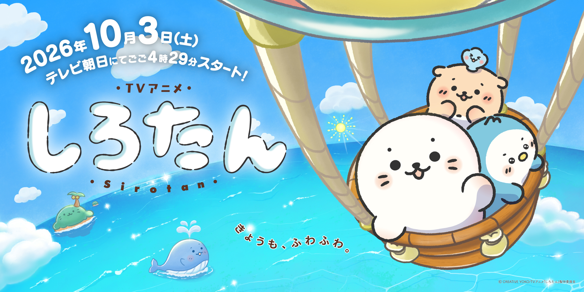しろたん　アニメ　10月３日スタート